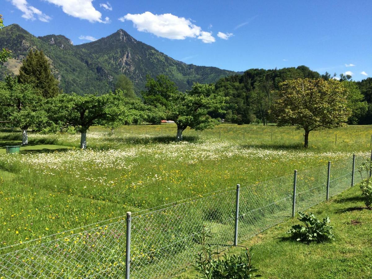 5-Sterne Active Ferienwohnung Chiemgau Marquartstein Exteriér fotografie